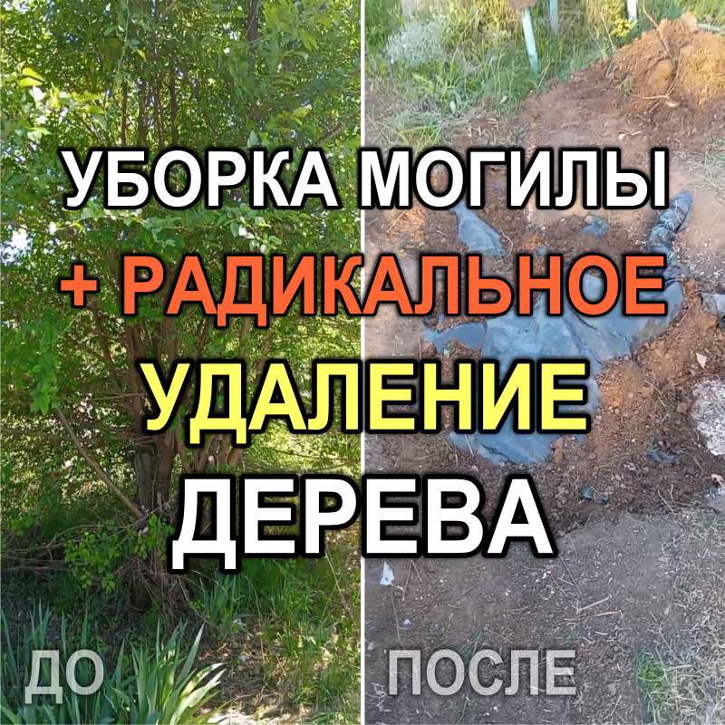 803M - Повторная уборка могилы с памятником, на которой реставрировали оградку (Кривой Рог)