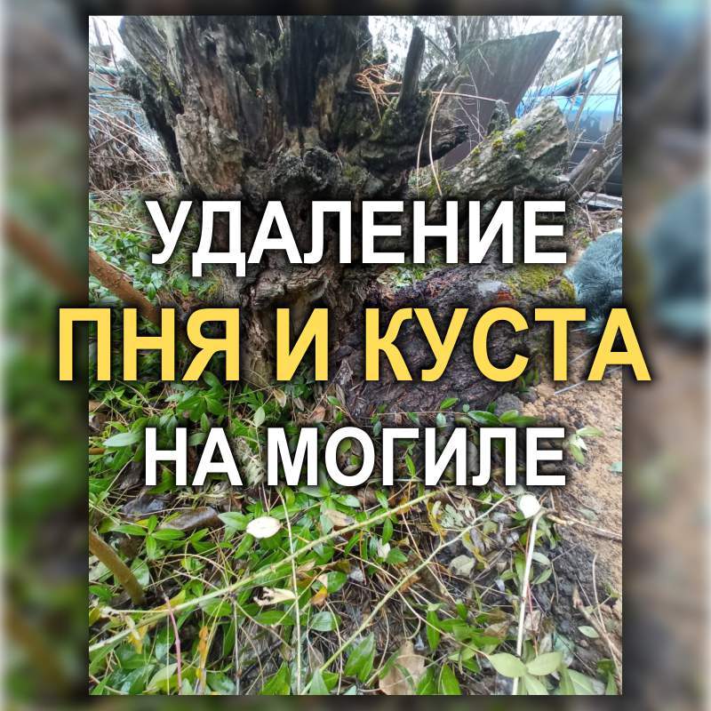 803M - Повторная уборка могилы с памятником, на которой реставрировали оградку (Кривой Рог)